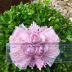 Laço Infantil com Renda Detalhe Floral Rosa Euro Baby