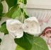 Laço Infantil de Gorgorão Branco Bordado Arranjo Floral G Euro Baby 