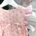 Macacão Infantil Pimpão Rosa Estampado Rosas Detalhes Listrado Com Aplicação Roana