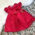 Vestido Infantil Evasê de Renda Vermelha Boneca Roana