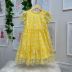Vestido Infantil Momi Amarelo de Tule com Estampa de Margaridas